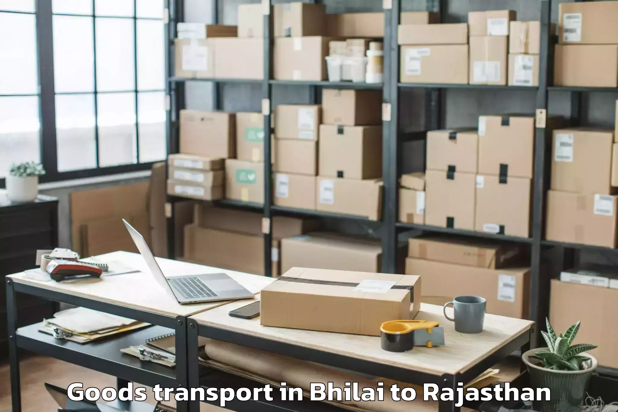 Bhilai to Singhania University Jhunjhunu Goods Transport Booking